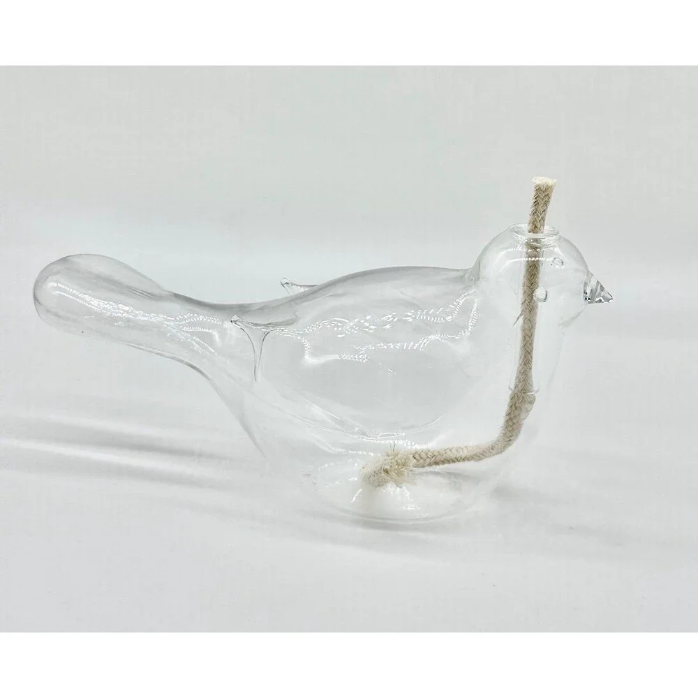 Hand-Blown Clear Glass Bird Oil Lamp Propagation Planter Bud Vase